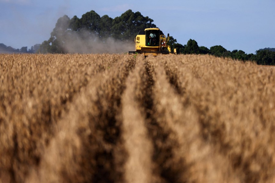 brasil-tem-o-seguro-rural-mais-fragil-entre-os-principais-produtores-agricolas-no-mundo