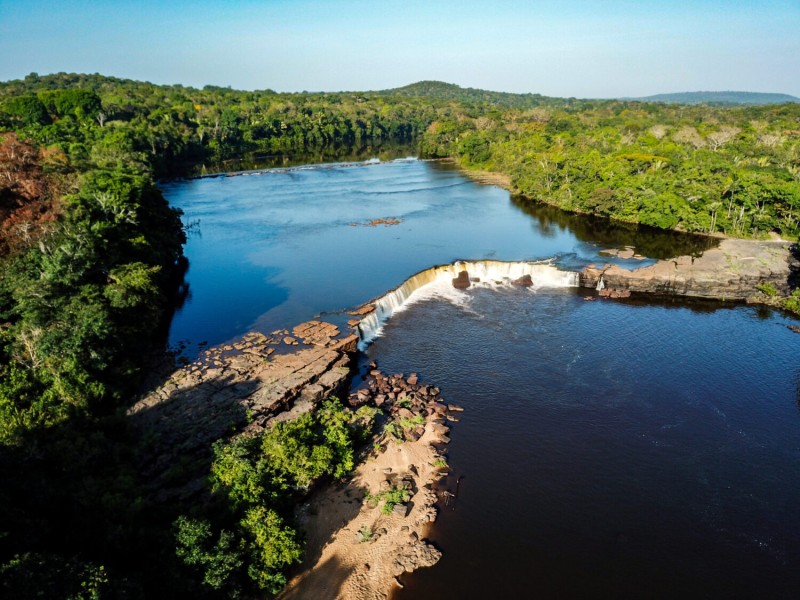 dia-dos-povos-indigenas-zurich-destaca-apoio-a-rede-origens-brasil