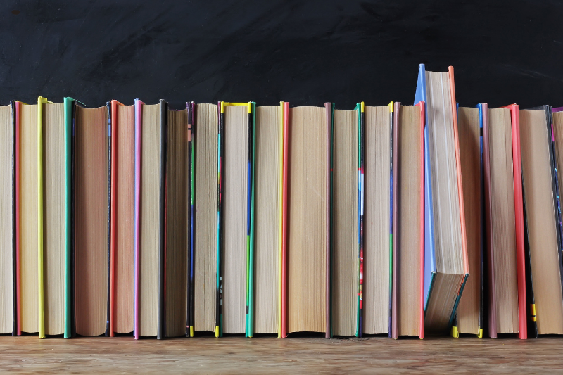 contribuindo-com-o-saber-sindsegsc-marca-o-dia-mundial-do-livro-com-dicas-de-leitura