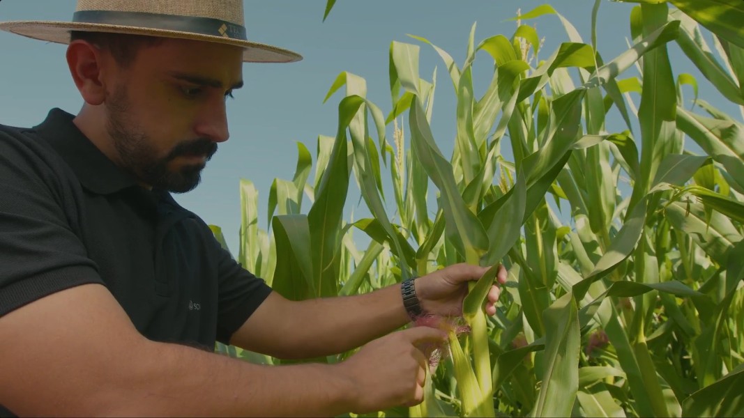 sompoagro-marca-posicionamento-da-sompo-para-ampliar-dialogo-com-players-do-agronegocio